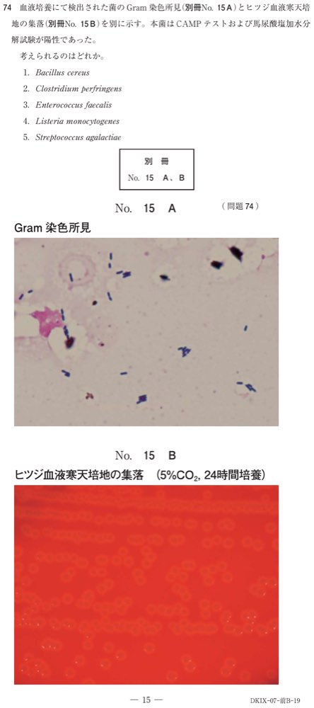 71AM074の問題画像