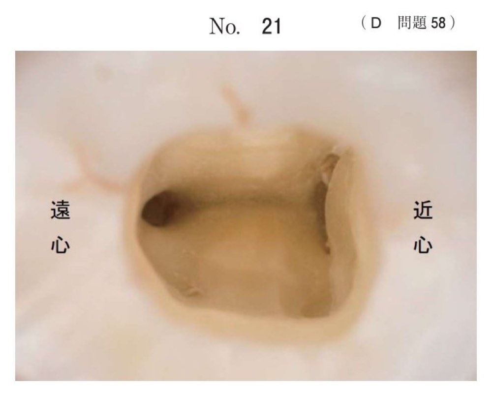 116D058の問題画像