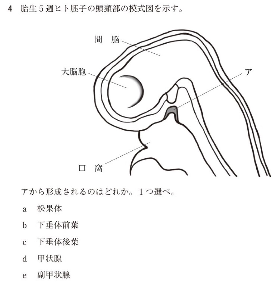 118D004の問題画像