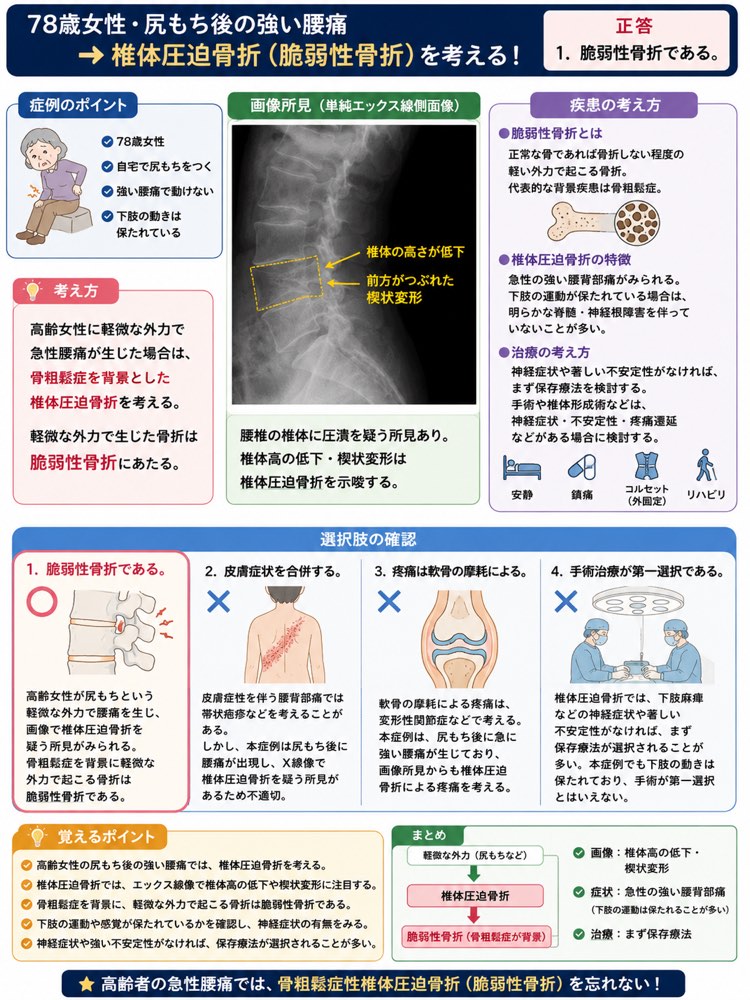 32PM67の解説画像