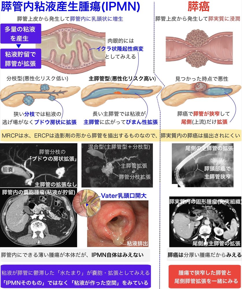 118D30の解説画像