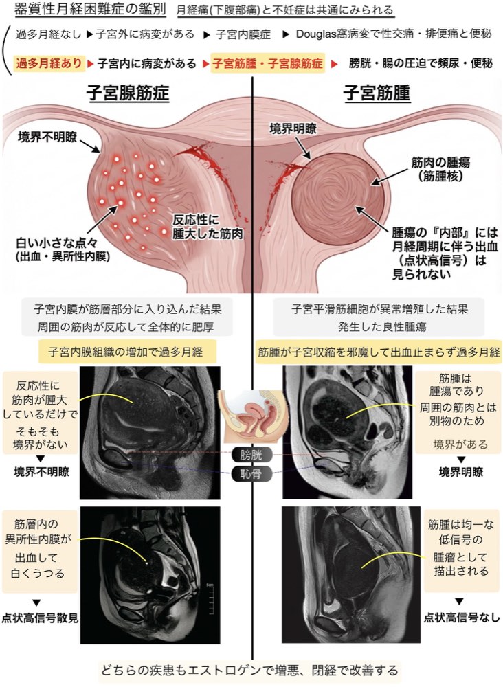 116F8の問題画像