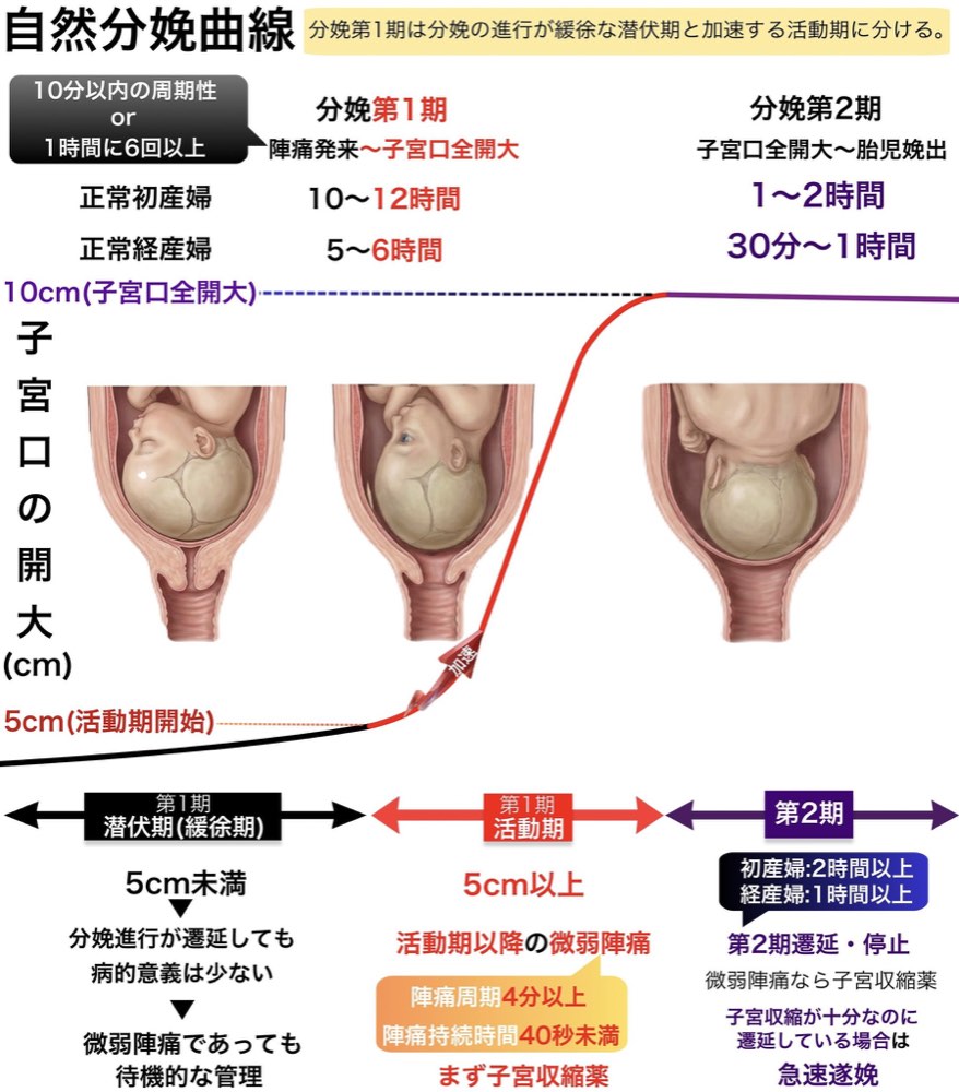 115C59の解説画像