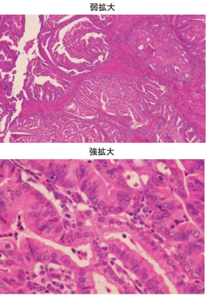 120A69の問題画像