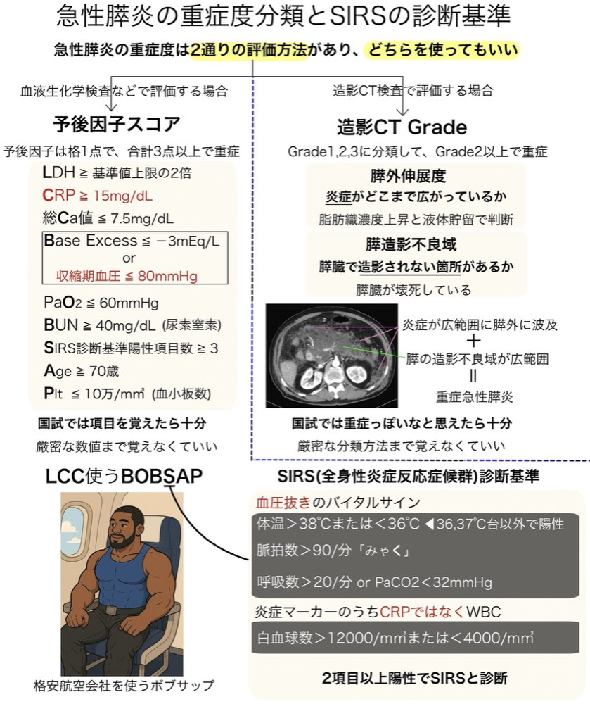 119A26の解説画像