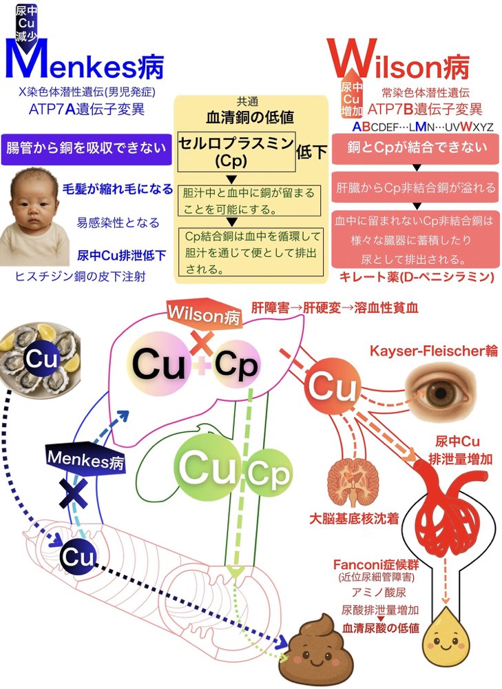119A16の解説画像