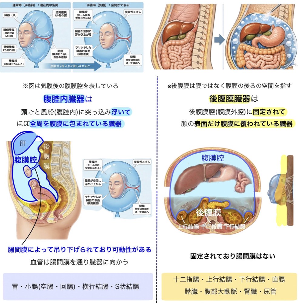 117C11の解説画像