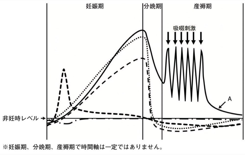 115B8の問題画像