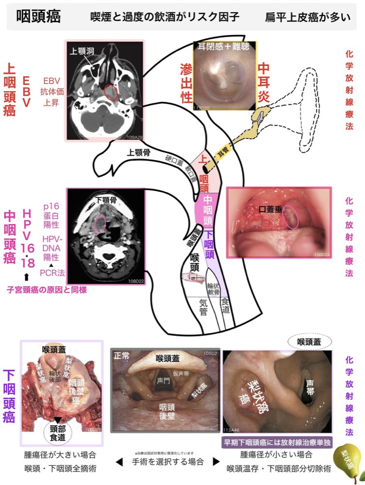 119D68の解説画像