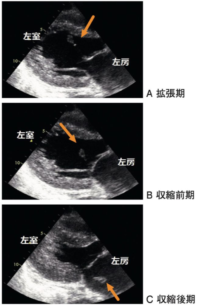 117A29の問題画像