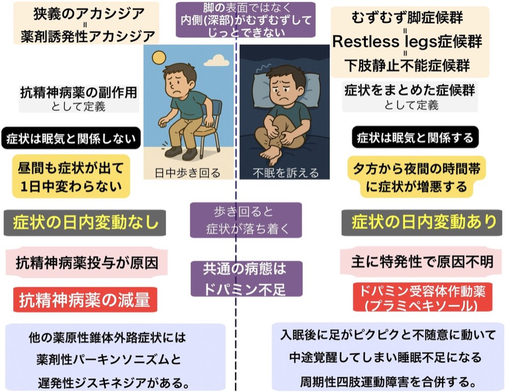 119A6の解説画像