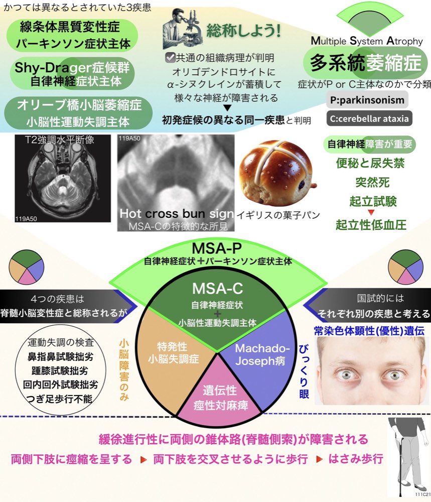 118E46の解説画像