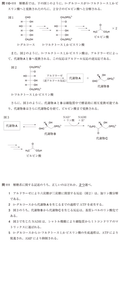 109Q111の問題画像