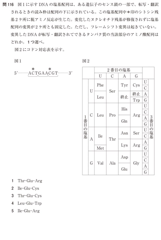 110Q116の問題画像