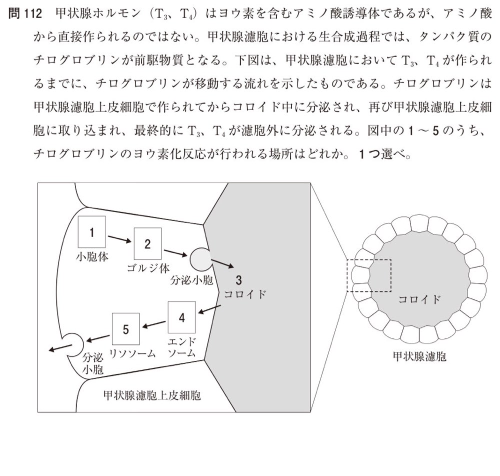 110Q112の問題画像