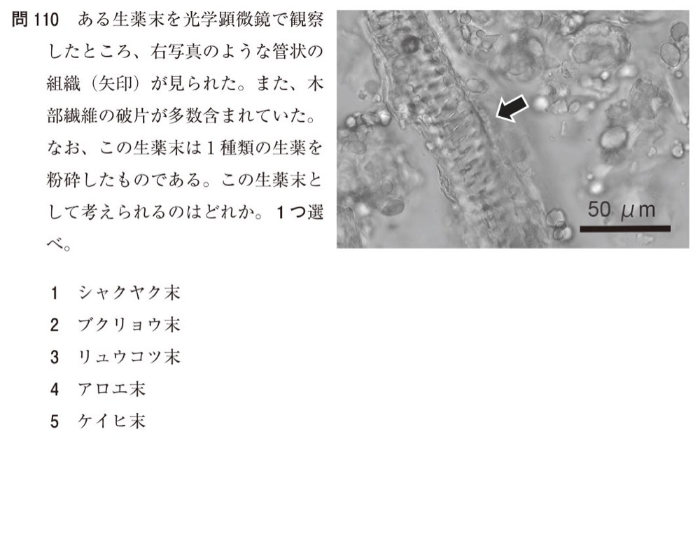 111Q110の問題画像
