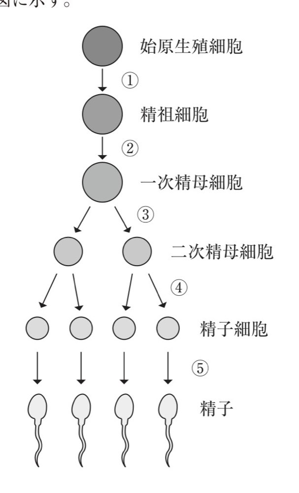 115PM077の問題画像
