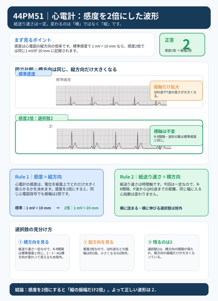 44PM51の解説画像
