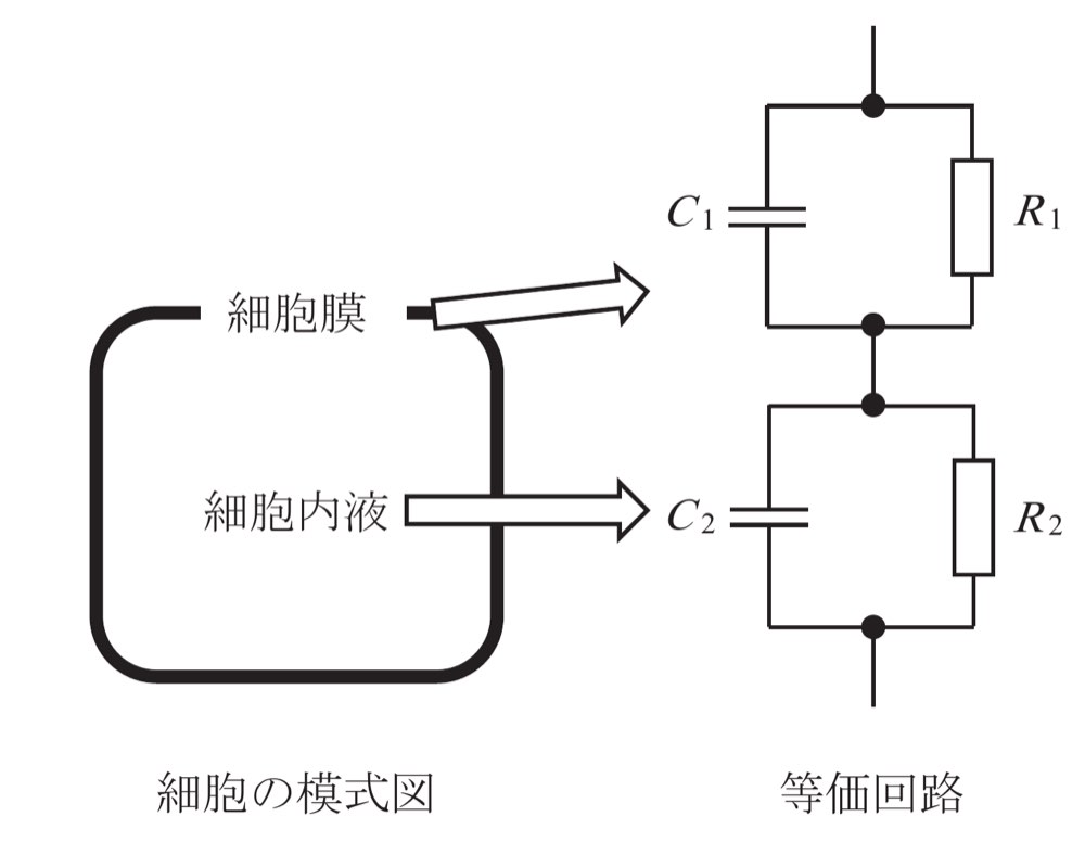 46AM29の問題画像