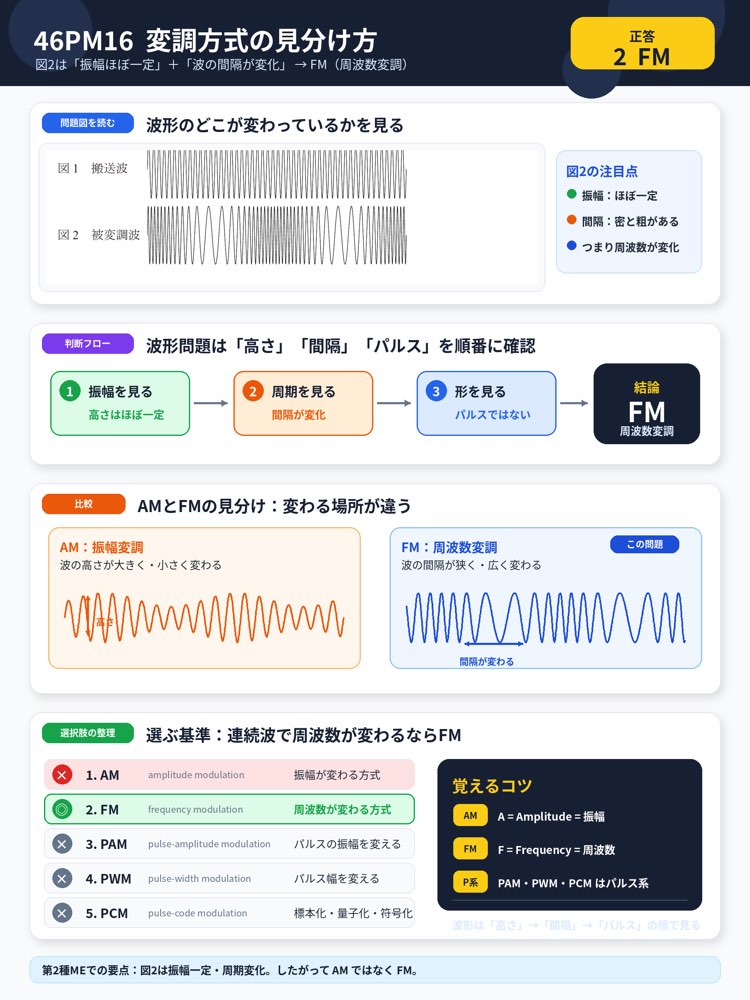 46PM16の解説画像
