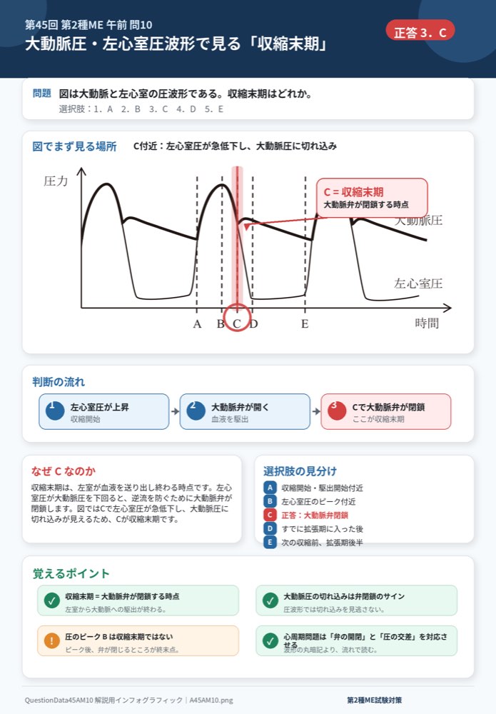 45AM10の解説画像